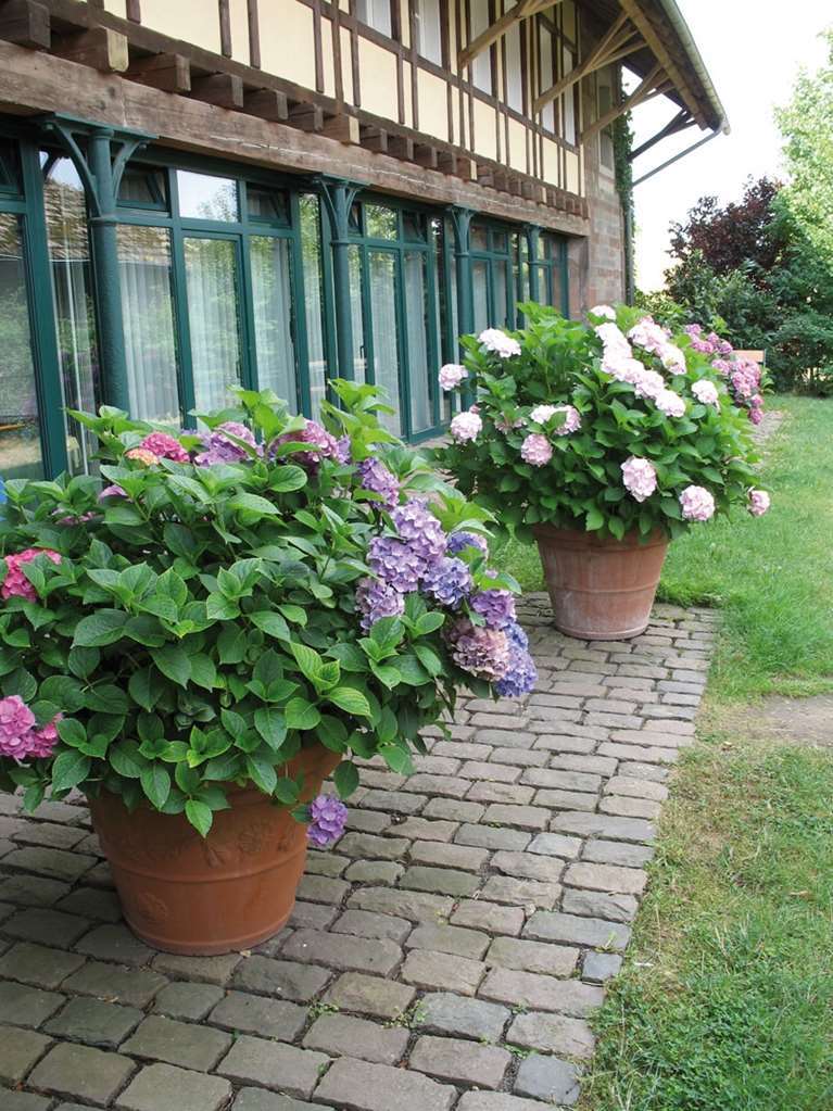 Der Linslerhof - Hotel, Restaurant, Events & Natur Uberherrn Экстерьер фото