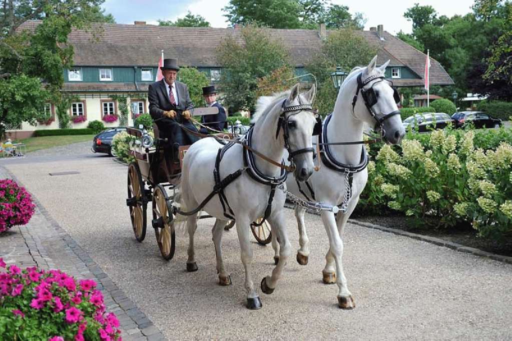 Der Linslerhof - Hotel, Restaurant, Events & Natur Uberherrn Интерьер фото