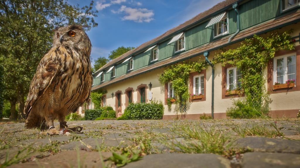 Der Linslerhof - Hotel, Restaurant, Events & Natur Uberherrn Экстерьер фото